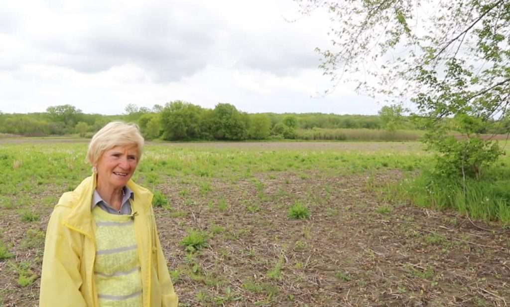 Person in yellow jacket in an open field with trees and cloudy sky in the background.