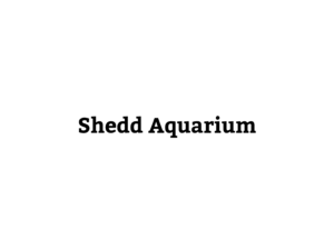 Shedd Aquarium