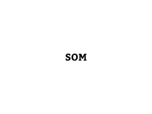 Bold black letters "SOM" on white background.
